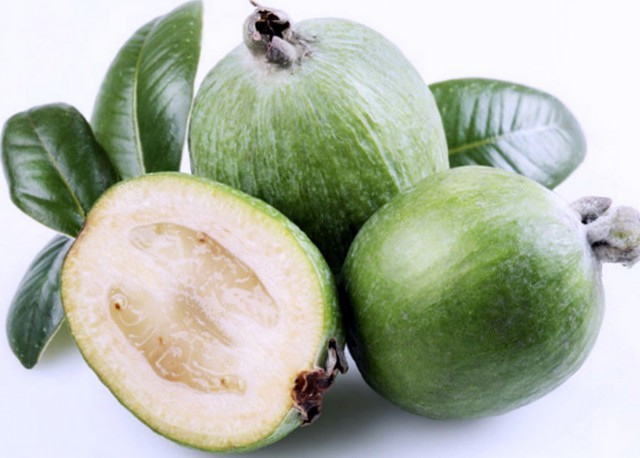 Фейхоа Селлова