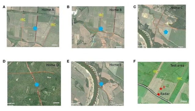 Бджоли орієнтуються в польоті як пілоти